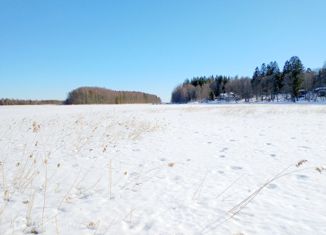 Участок на продажу, 2700 сот., Селезнёвское сельское поселение