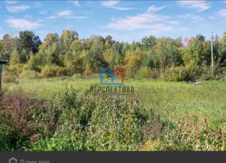 Земельный участок на продажу, 26 сот., село Малая Зоркальцева, Молодёжная улица