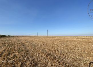 Продаю земельный участок, 340 сот., село Окунёвка, улица Крупской