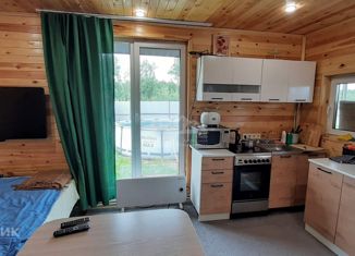 Продам дом, 41 м2, деревня Терентьево, улица Гагарина