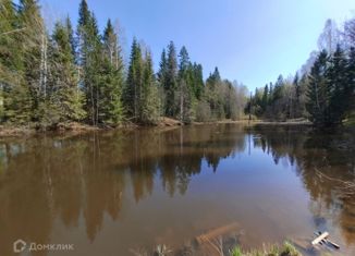 Дом на продажу, 20 м2, Березники, СНТ № 31, 27