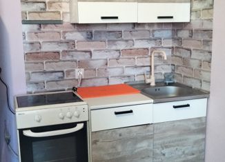 Сдаю в аренду 1-ком. квартиру, 26 м2, деревня Кудрово, Центральная улица, 50