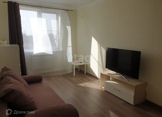 1-комнатная квартира на продажу, 39.8 м2, хутор Новоалександровка, Юбилейная улица, 21