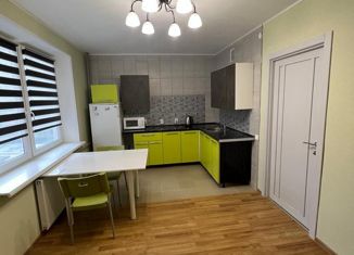 Сдаю однокомнатную квартиру, 48 м2, Мурино, Екатерининская улица, 10, ЖК Три кита