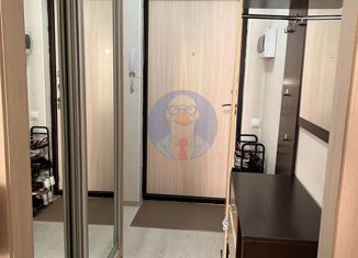 Квартира на продажу студия, 25 м2, посёлок Шушары, Школьная улица, 17