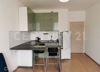 Сдаю квартиру студию, 25.4 м2, Мурино, улица Шувалова, 11, ЖК Гринландия