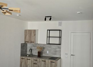 Сдаю квартиру студию, 21.8 м2, Санкт-Петербург, Муринская дорога, 29