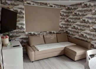 Продам дом, 70 м2, село Соузга, Берёзовый переулок