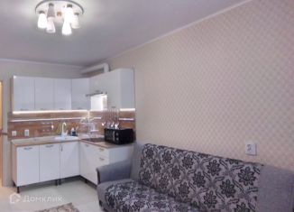 Квартира на продажу студия, 23 м2, Сертолово, Центральная улица, 14к3