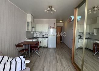 Продаю квартиру студию, 25 м2, посёлок Российский, улица Заводовского, 14