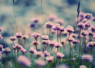 Земельный участок на продажу, 15 сот., деревня Бабаево