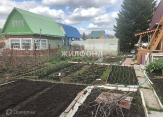 Продажа дома, 30 м2, село Плотниково