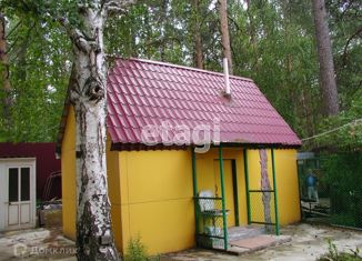Продается дом, 60 м2, СНТ Приозёрное-2, СНТ Приозёрное-2, 16