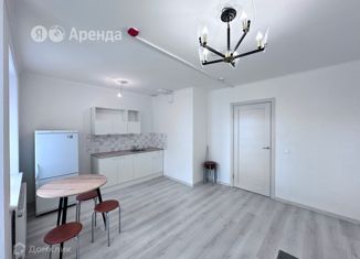 Аренда квартиры студии, 25 м2, поселок Бугры, Тихая улица, 13к3