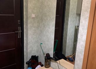 1-комнатная квартира в аренду, 39.4 м2, Санкт-Петербург, улица Михаила Дудина, 25к1, улица Михаила Дудина