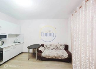 Продается квартира студия, 24.5 м2, Копейск