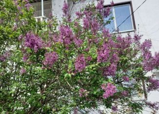 Продаю 4-ком. квартиру, 93.1 м2, село Новомихайловское, Школьная улица, 8