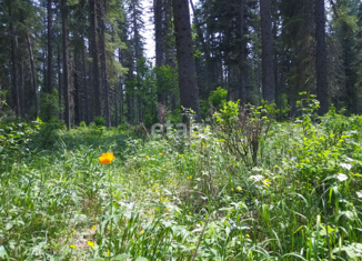 Продается участок, 25 сот., поселок Тюгурюк, Центральная улица