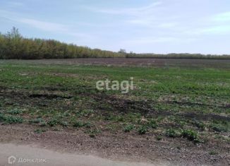 Земельный участок на продажу, 10 сот., деревня Яр-Бишкадак, улица Дружбы