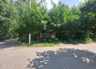 Дом на продажу, 384 м2, деревня Трубачеевка, Лесная улица, 1А