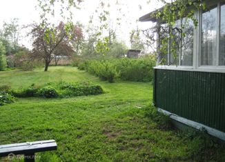 Продам дом, 15 м2, деревня Кобрино, деревня Кобрино, 49