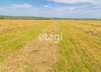Продам участок, 511.23 сот., село Сабуровка