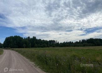 Участок на продажу, 5.5 сот., село Борки, улица Текутьева