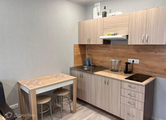 Квартира в аренду студия, 24 м2, Мурино, улица Шувалова, 22к1, ЖК Витамин