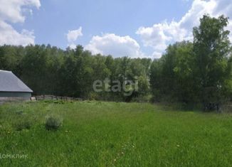 Продаю участок, 12.3 сот., деревня Казанка