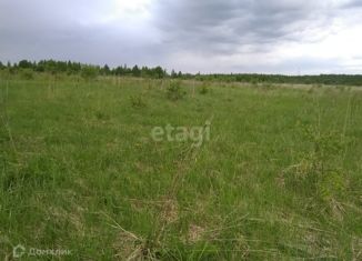 Продажа земельного участка, 910 сот., деревня Берёзовка