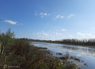 Продается участок, 4580 сот., село Борки, Романовская улица