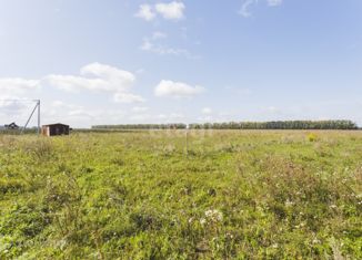 Участок на продажу, 12 сот., село Старые Камышлы, улица Басистова, 52