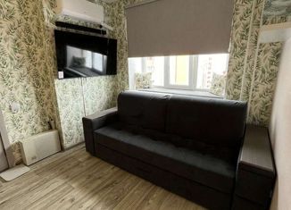 1-комнатная квартира на продажу, 33 м2, Самарская область, Губернаторская улица, 43