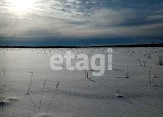 Продается участок, 514 сот., село Теменичи, Молодёжная улица