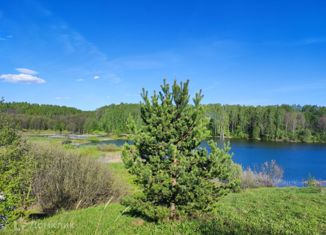 Продам земельный участок, 11.5 сот., село Большие Ключи, Стадионная улица, 17