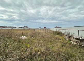 Продается земельный участок, 12 сот., деревня Ямны