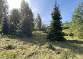 Земельный участок на продажу, 12 сот., СНТ Дубки