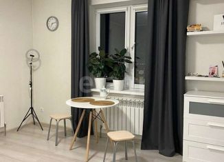 Продажа квартиры студии, 28 м2, Новосибирск, улица Фрунзе, 49/2, метро Маршала Покрышкина