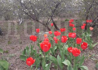 Продам дом, 10 м2, коллективный сад № 20