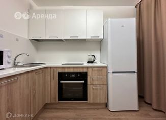 Сдаю 1-ком. квартиру, 35 м2, Санкт-Петербург, Гудиловская улица, 9, метро Рыбацкое