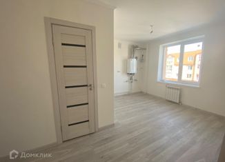 Продажа 1-комнатной квартиры, 30.6 м2, Калуга, улица Бориса Литвинчука, 12, ЖК Видный
