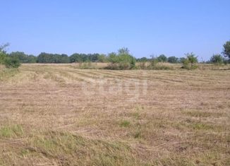 Продаю участок, 7998 сот., посёлок Краснооктябрьский, Рабочий переулок