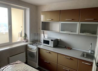 Сдам однокомнатную квартиру, 36 м2, Екатеринбург, улица Чкалова, 252, улица Чкалова