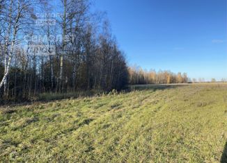 Продаю участок, 11.45 сот., поселок Малыгино, Школьная улица