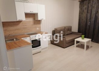 Продажа квартиры студии, 28 м2, посёлок Парголово, Заречная улица, 17