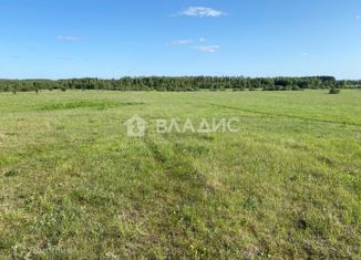 Продается участок, 4000 сот., деревня Орешки