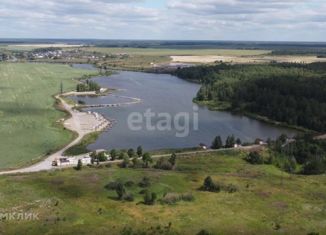 Земельный участок на продажу, 450 сот., Каменский городской округ, 65К-1203000