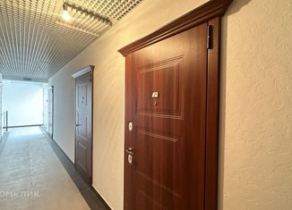 Продается квартира студия, 21 м2, село Орёл-Изумруд, Петрозаводская улица, 56