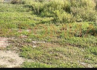 Продам земельный участок, 100 сот., станица Кривянская, Большая улица