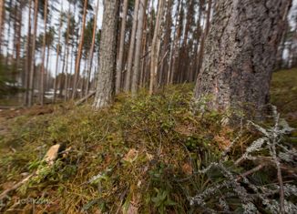 Продажа земельного участка, 10 сот., деревня Шуйская Чупа